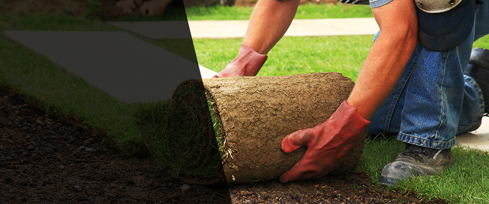 Peyton Landscapers